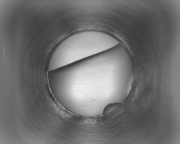 X0000081600353200701151100