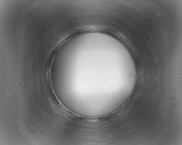 X0000081600355200701151100