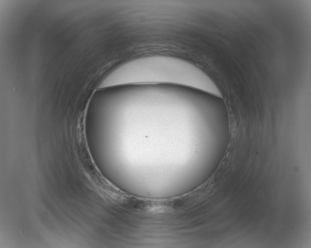 X0000081600360200701151100