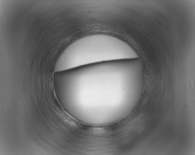X0000081600361200701151100