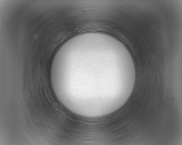 X0000081600362200701151100