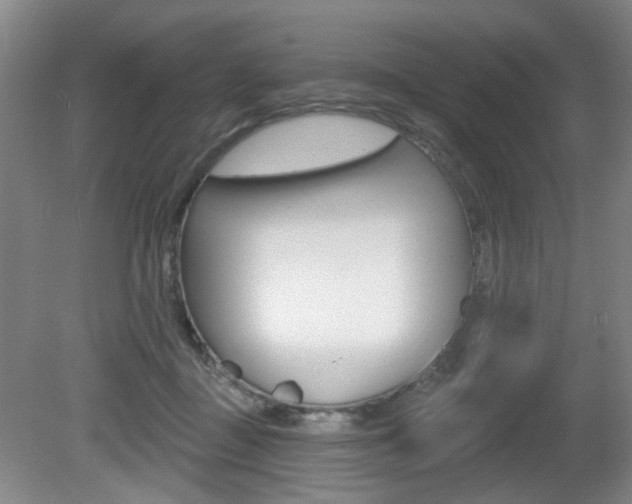 X0000081600363200701151100