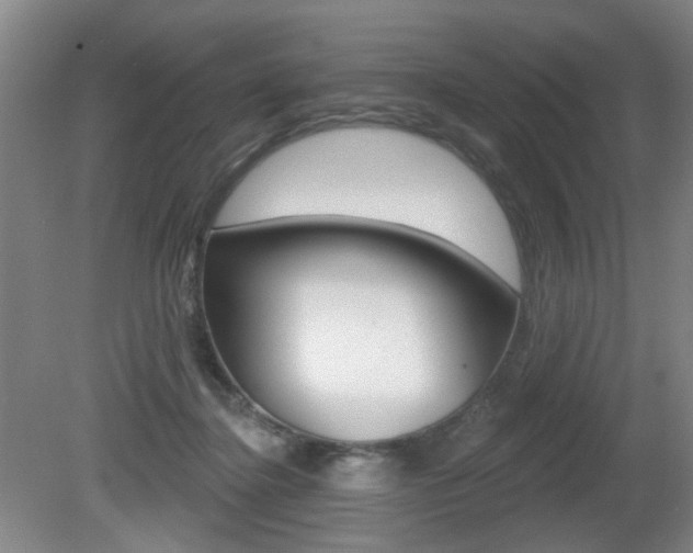 X0000081600364200701151100