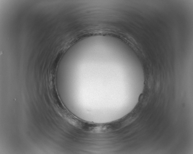 X0000081600366200701151100