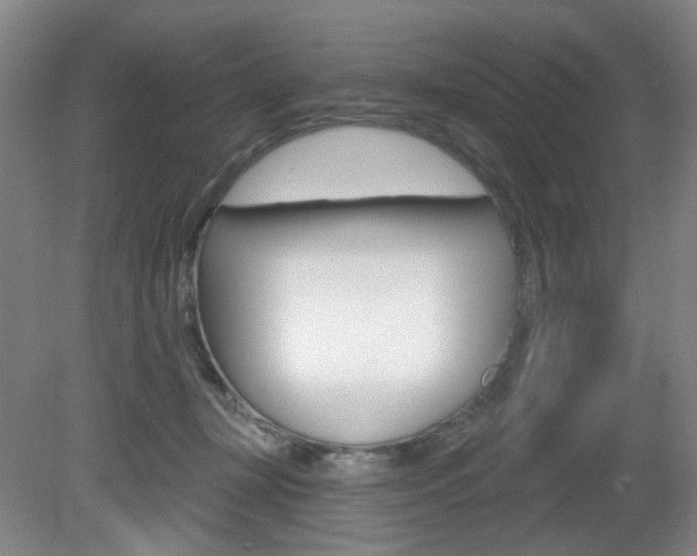 X0000081600367200701151100