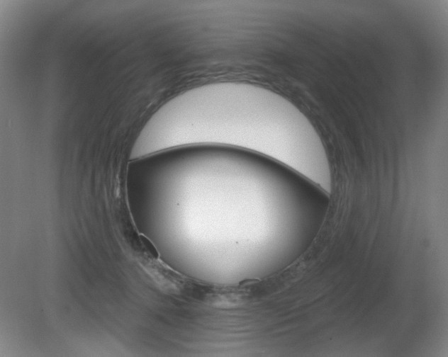 X0000081600368200701151100