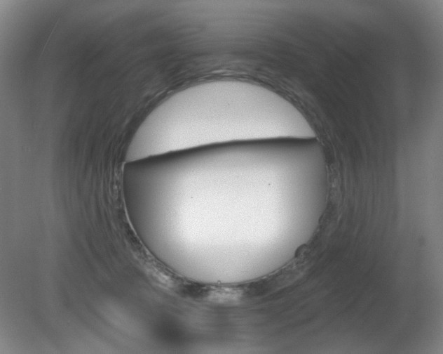 X0000081600369200701151100