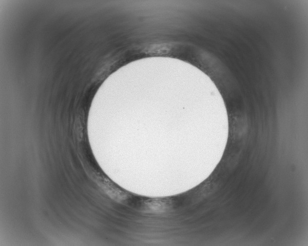 X0000081600370200701151100