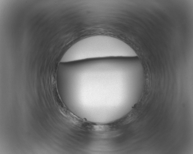 X0000081600371200701151100