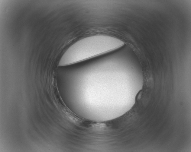 X0000081600374200701151100