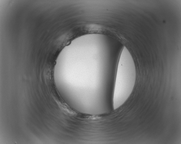 X0000081600379200701151100