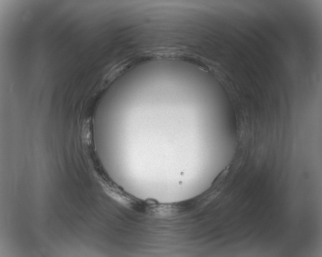 X0000081600383200701151100