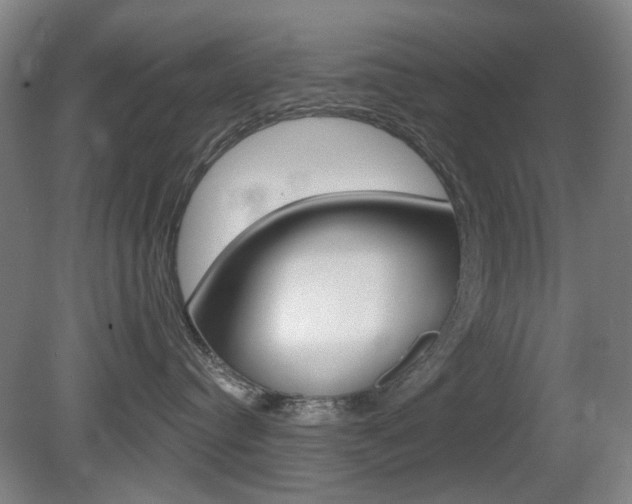 X0000081600384200701151100