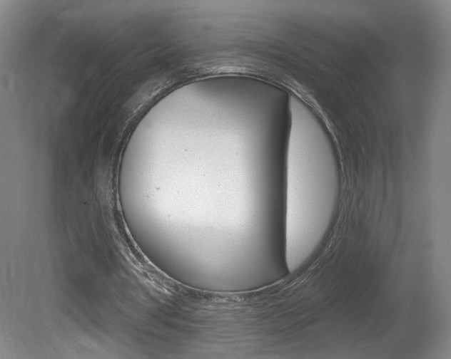 X0000081600386200701151059