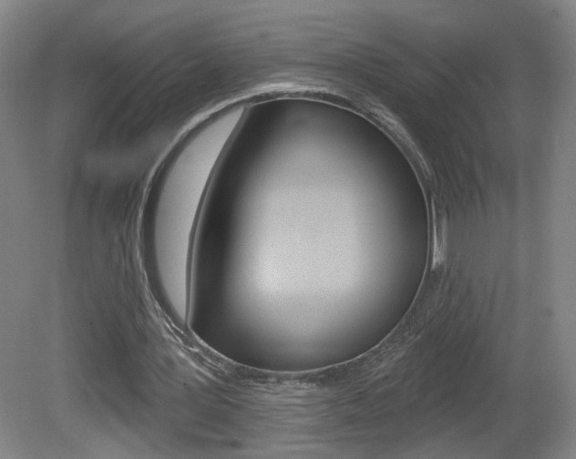 X0000081600387200701151059