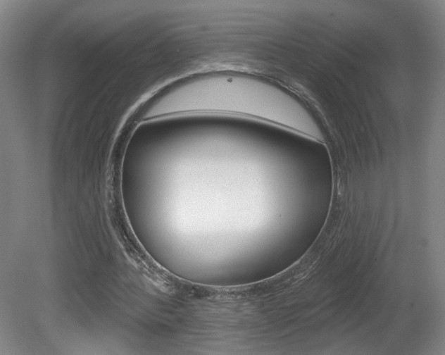 X0000081600388200701151059