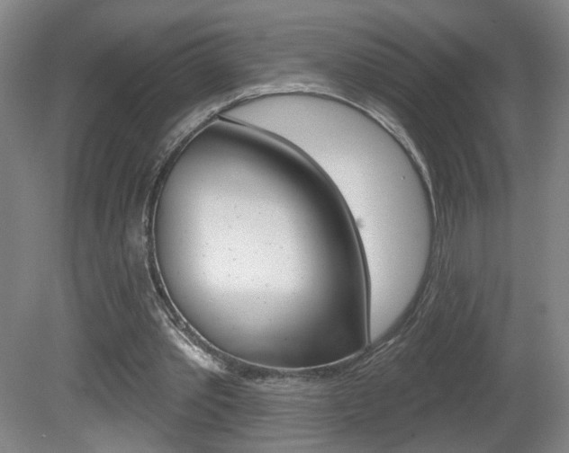 X0000081600389200701151059