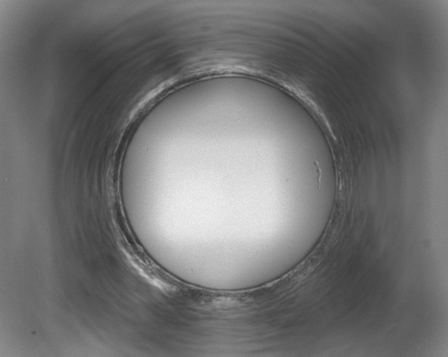 X0000081600390200701151059