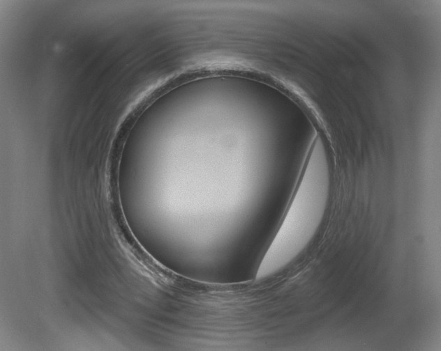 X0000081600391200701151059