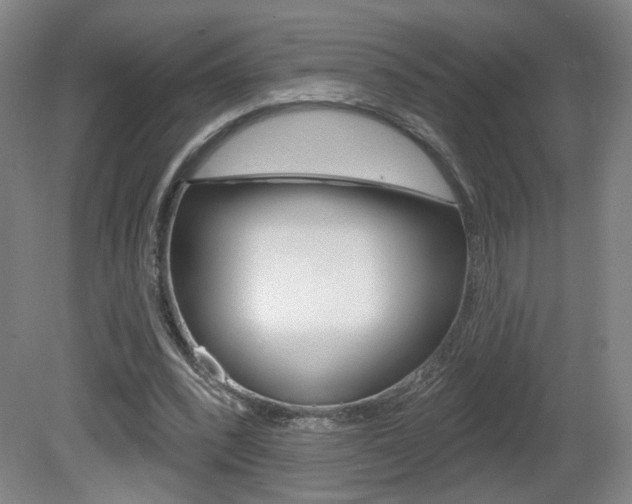 X0000081600392200701151059