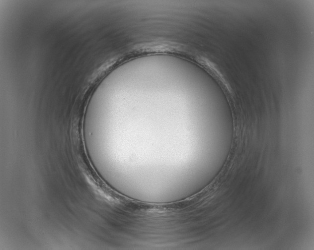X0000081600394200701151059