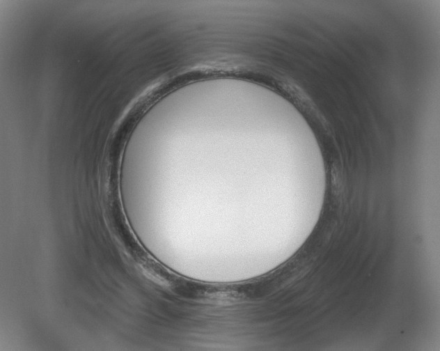 X0000081600396200701151059