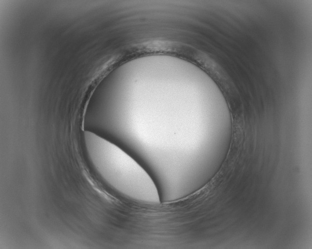 X0000081600398200701151059