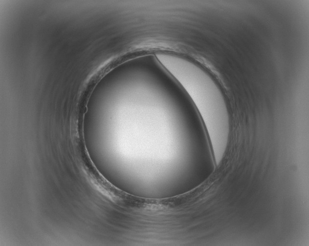 X0000081600399200701151059