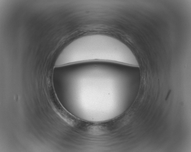 X0000081600408200701151059