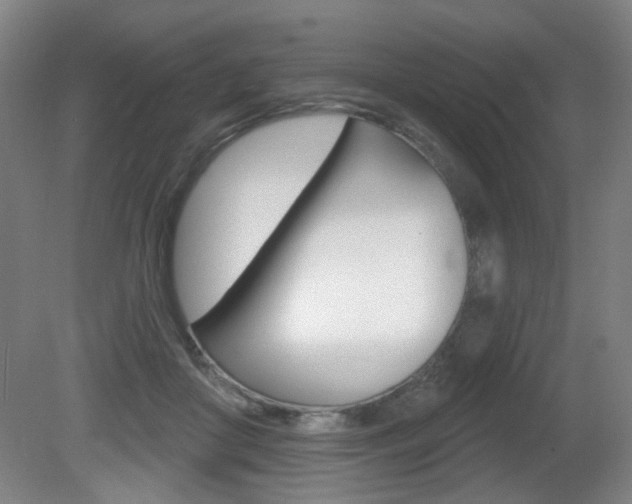 X0000081600410200701151059