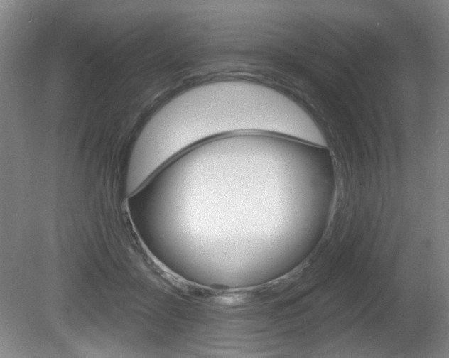 X0000081600411200701151059