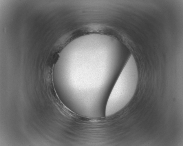 X0000081600413200701151059