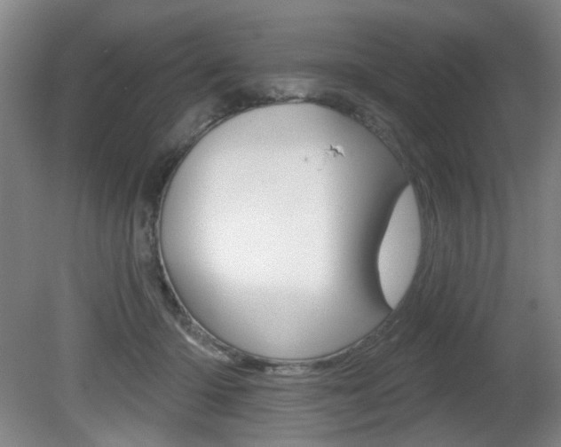 X0000081600414200701151059