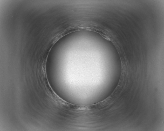 X0000081600415200701151059