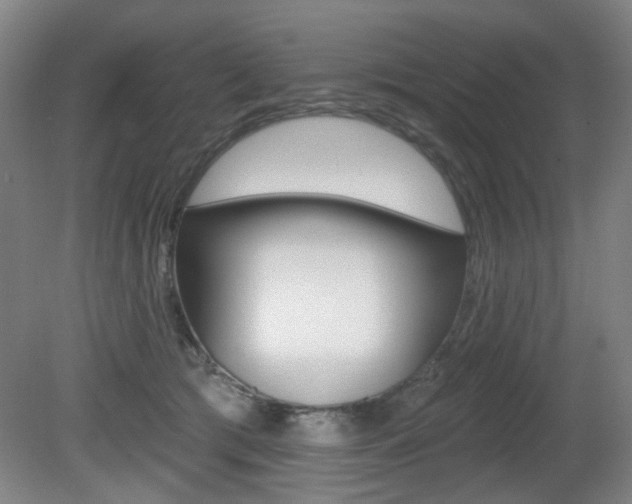 X0000081600417200701151059