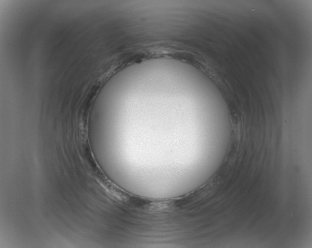 X0000081600418200701151059