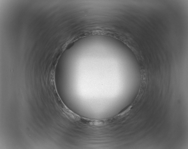 X0000081600419200701151059