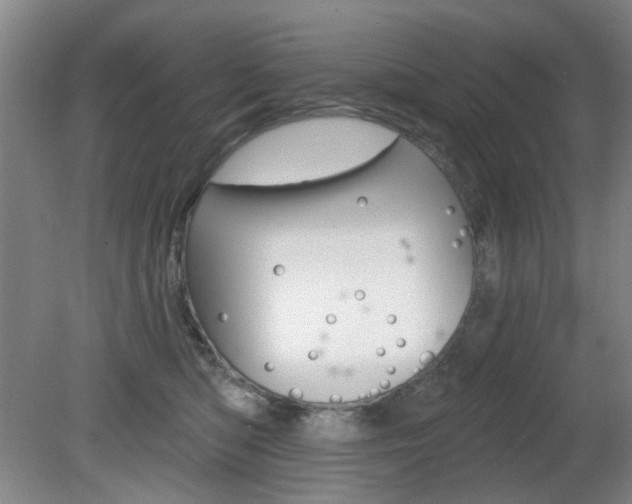 X0000081600422200701151059