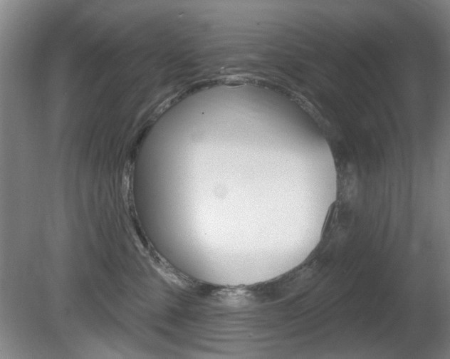 X0000081600427200701151059