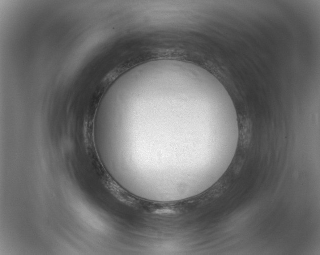 X0000081600430200701151059