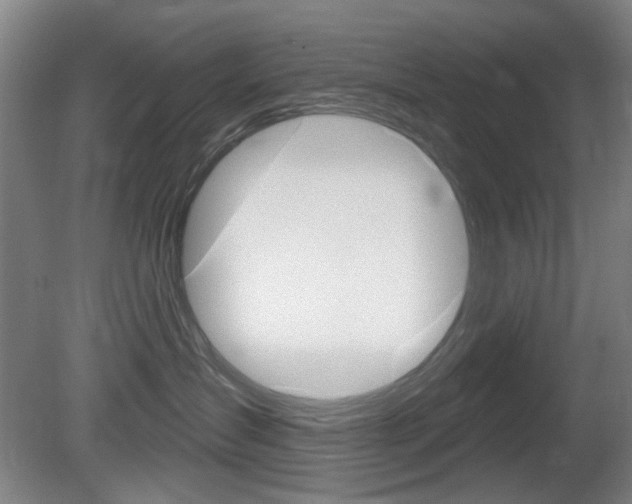 X0000081600431200701151059
