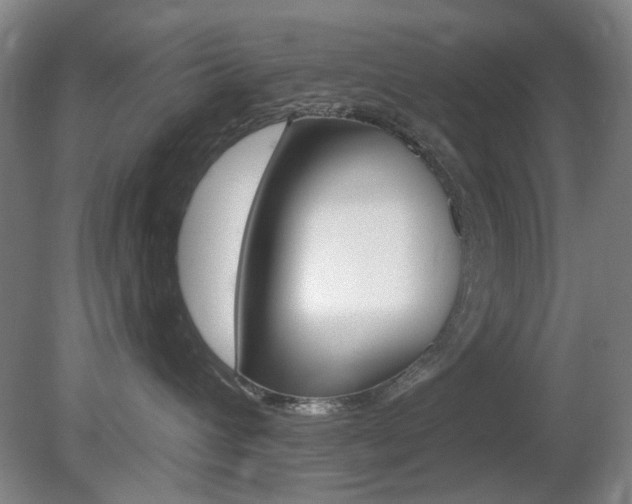 X0000081600432200701151058