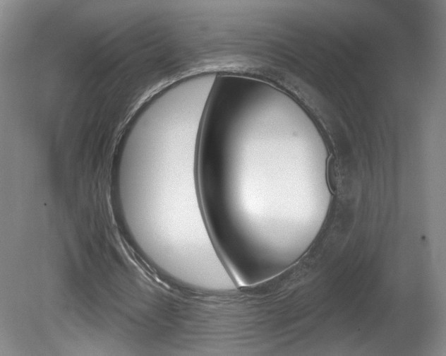 X0000081600434200701151058