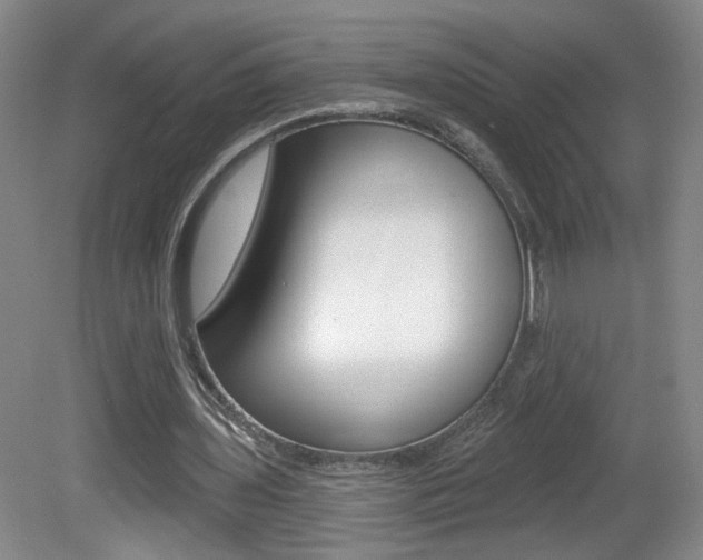 X0000081600435200701151058
