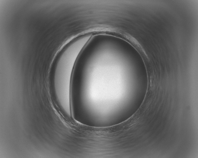 X0000081600436200701151058