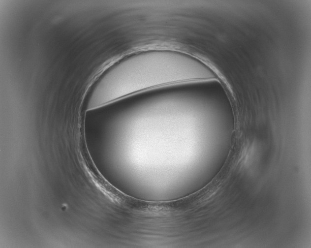 X0000081600437200701151058