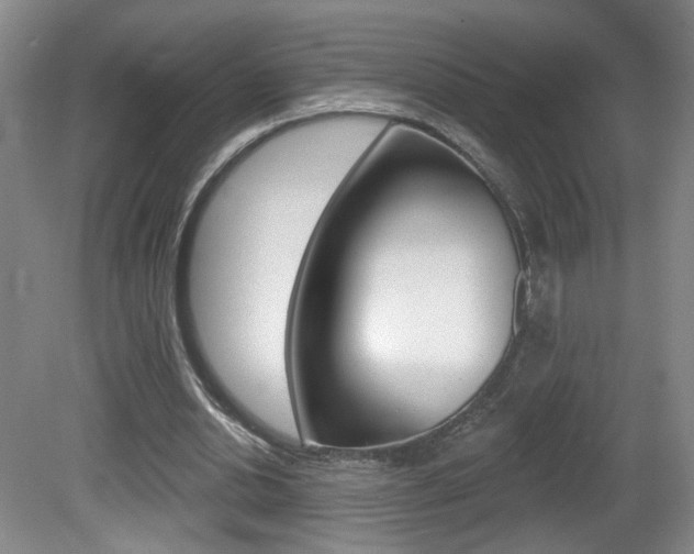 X0000081600438200701151058