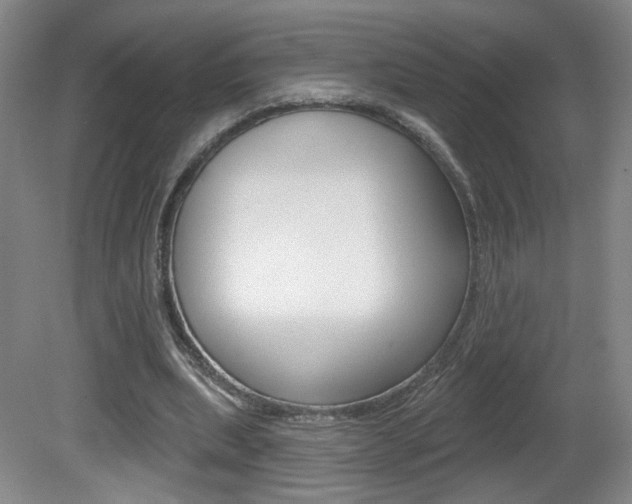 X0000081600439200701151058
