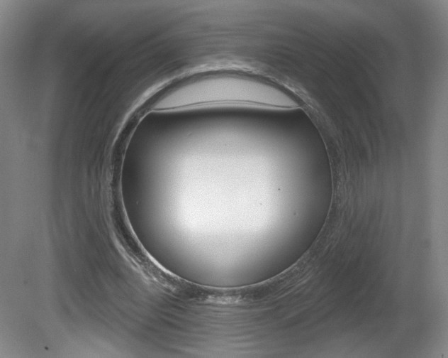 X0000081600440200701151058