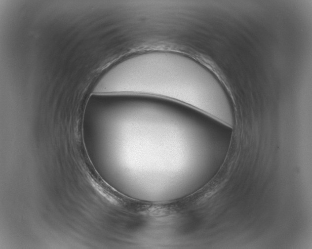 X0000081600441200701151058